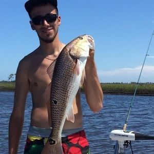 Meet your Posher, Nick